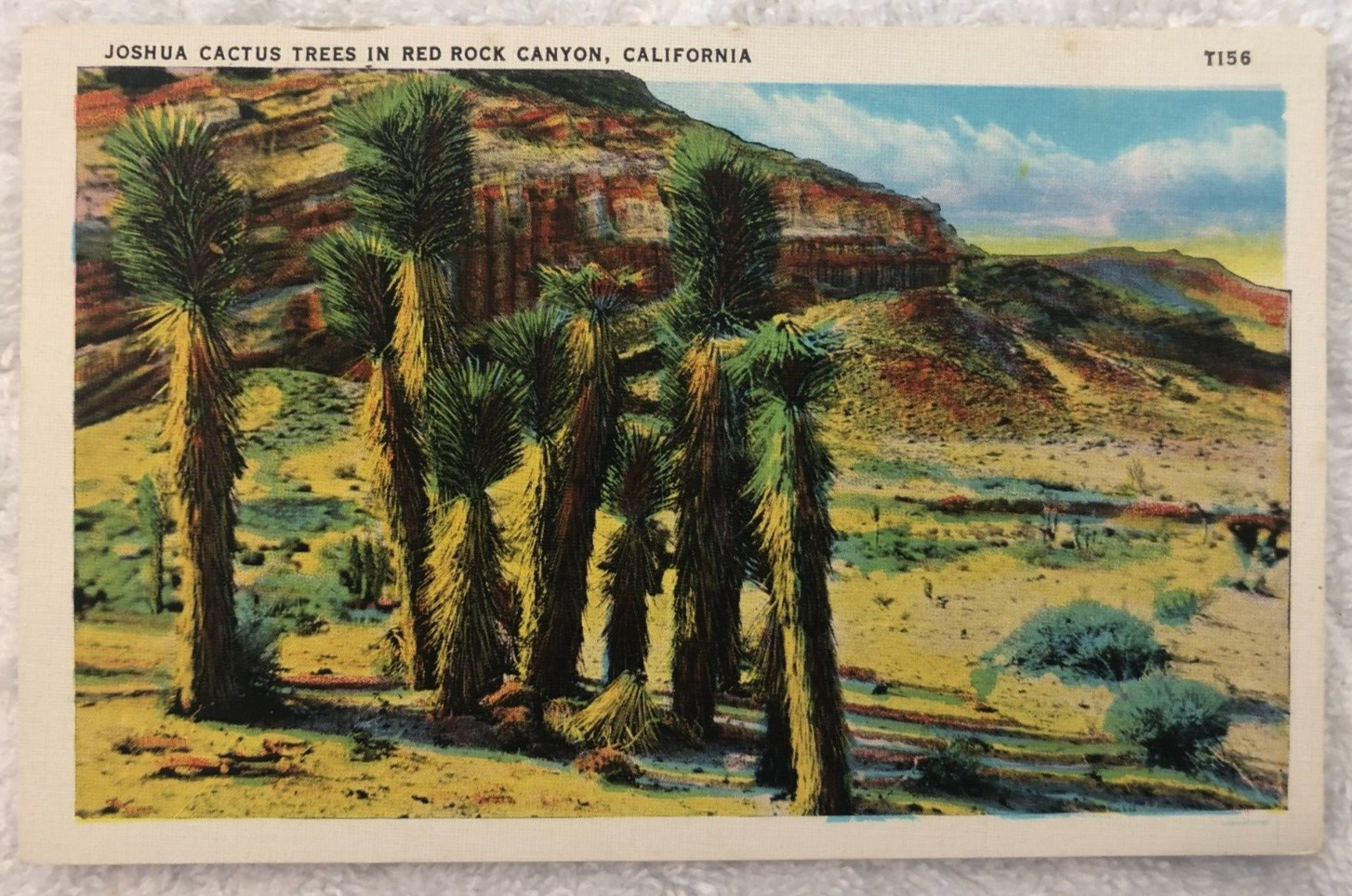 CA- California, Joshua Cactus Trees In Red Rock Canyon, Vintage 1937 Postcard