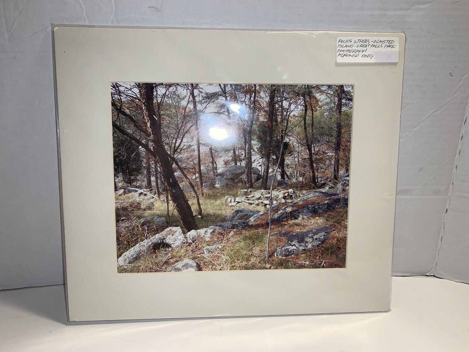 Vintage Olmsted Island Great Falls Park photograph By Alfonso Ong Matted Picture