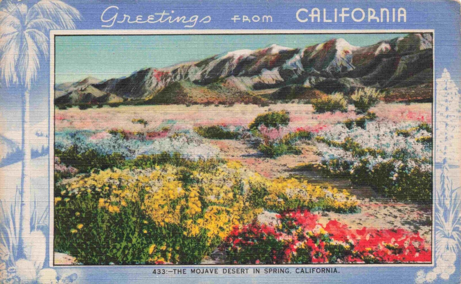 Mojave Desert California CA Spring Greetings Cool Border Lovely Linen Postcard