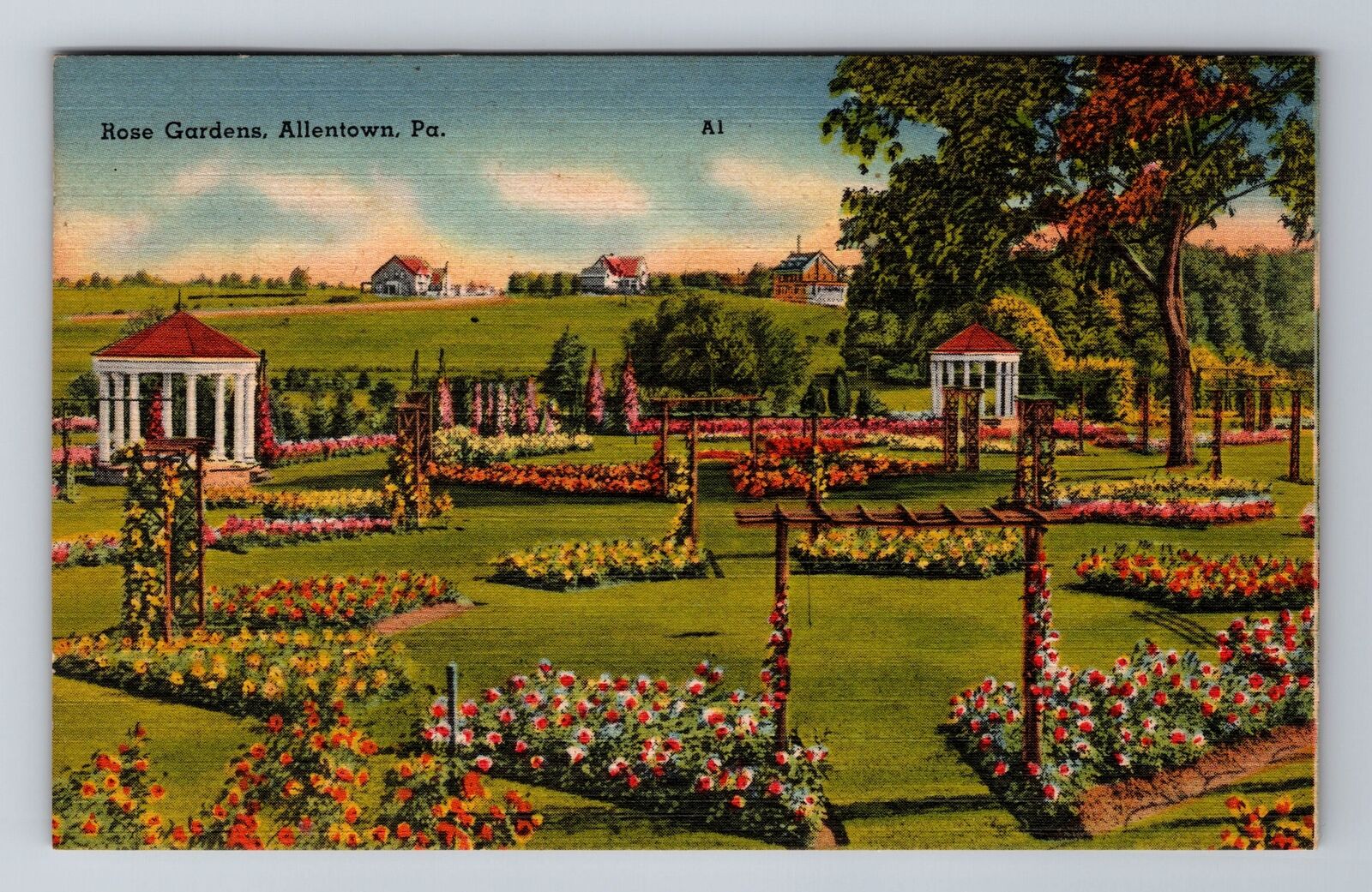 Allentown PA-Pennsylvania, Rose Gardens, Antique, Vintage c1945 Postcard