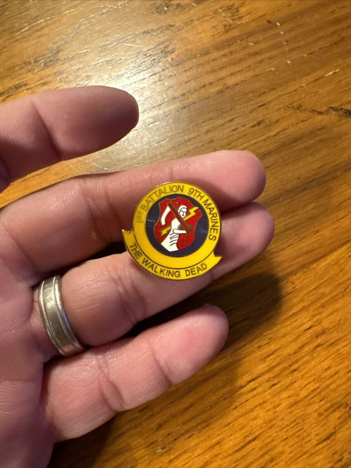 US MARINE CORPS 1st BATTALION 9th MARINES THE WALKING DEAD HAT or LAPEL PIN 