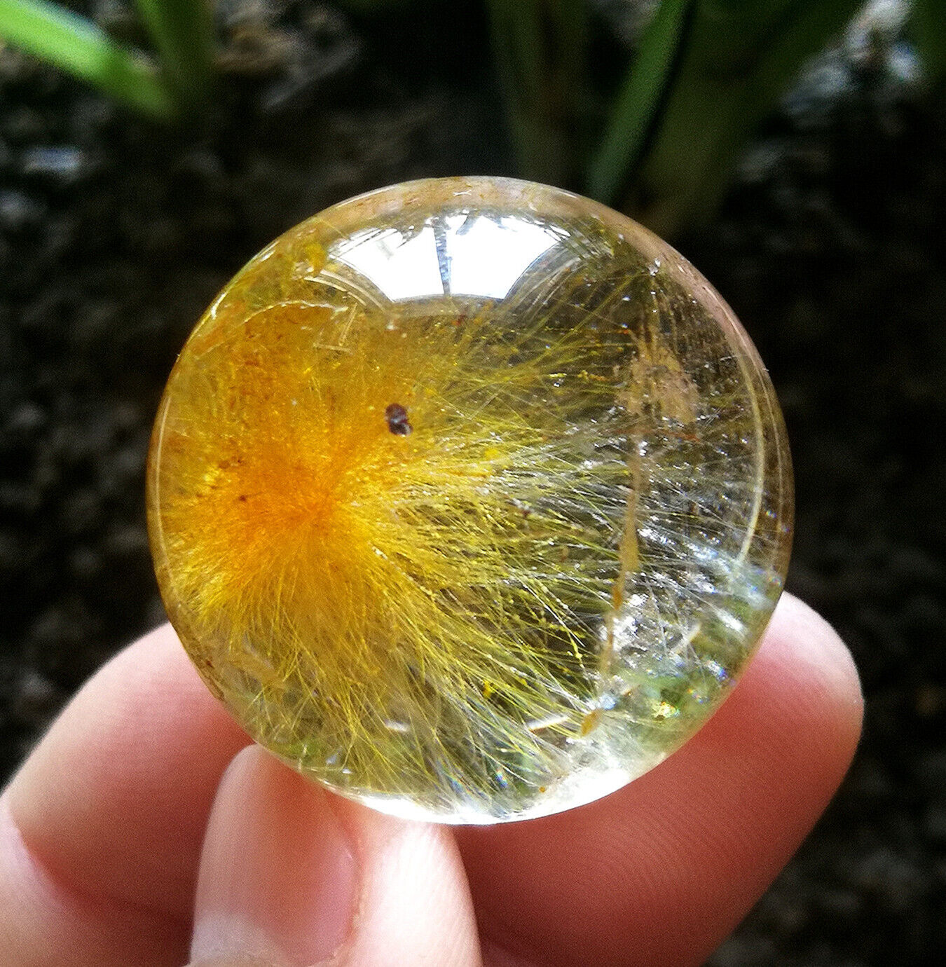 43g 31mm Amazing Natural Golden Hair Rutilated Quartz Crystal Sphere Ball Chakra