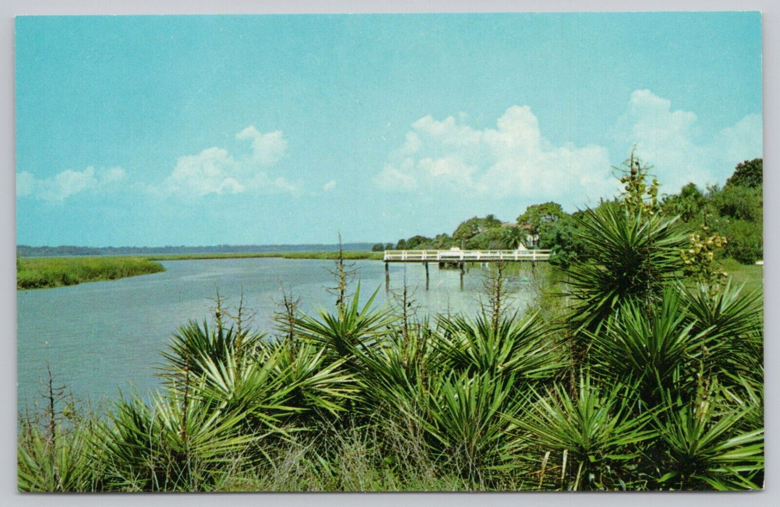 Postcard Black Banks River, Sea Island, Georgia