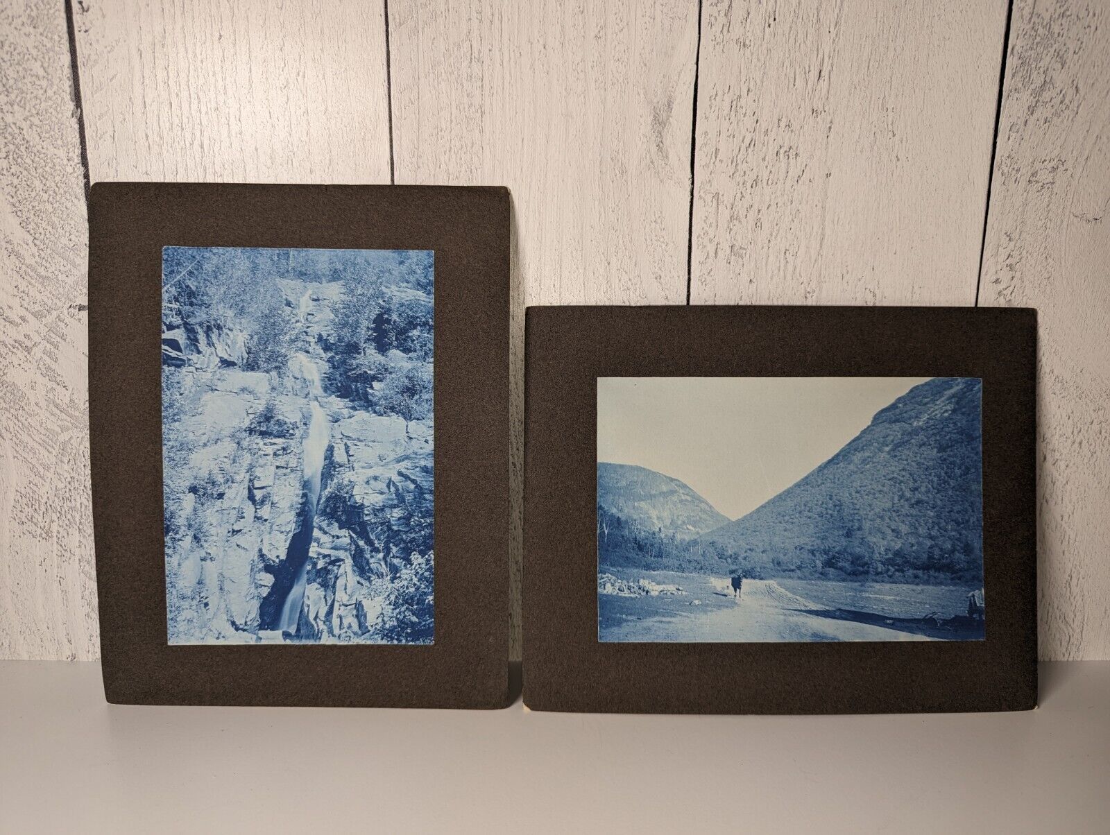 1899 CYANOTYPE Photos White Mountains NH Moose Crawford Notch Lot Of 2