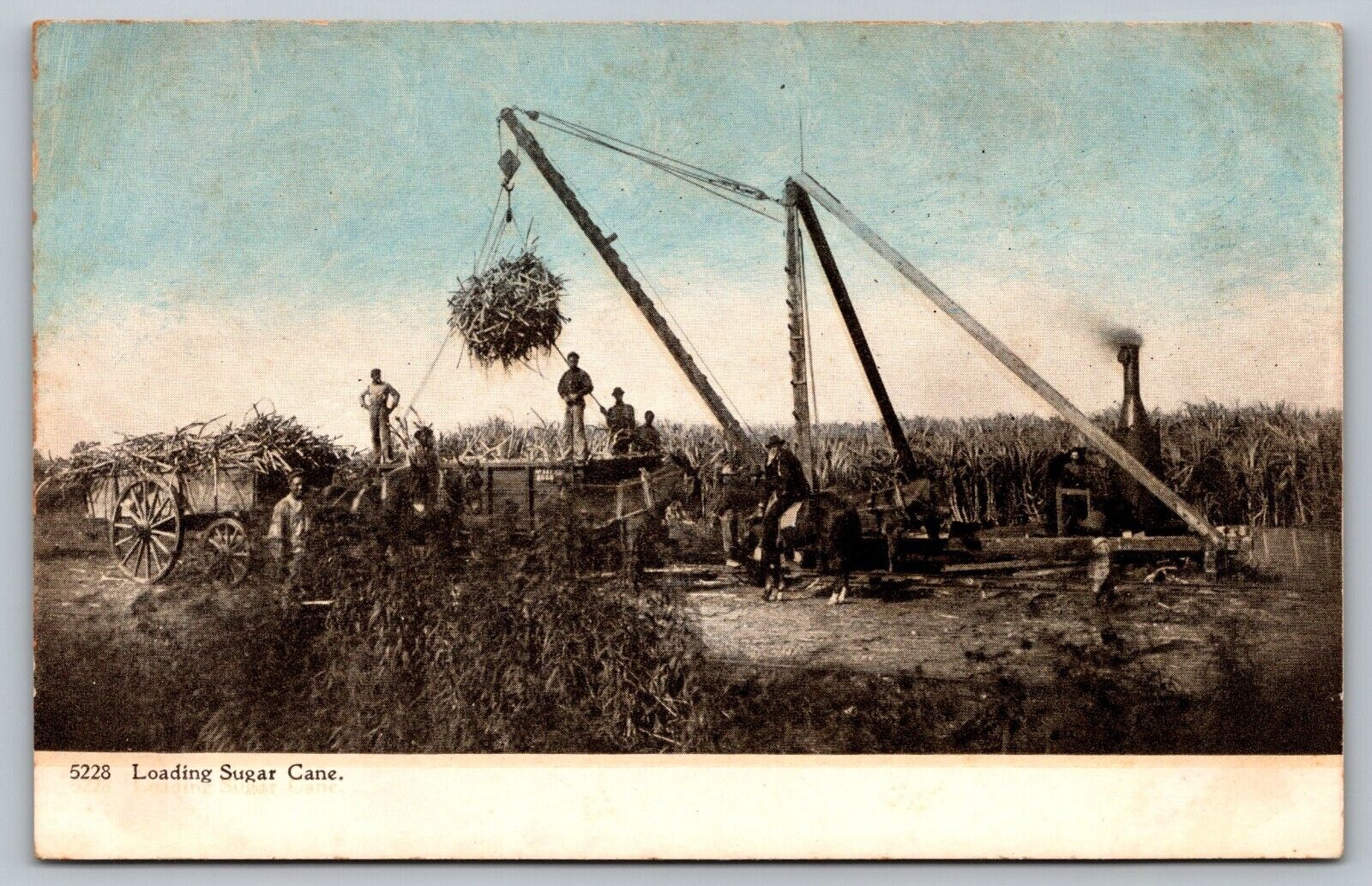 Postcard Loading Sugar Cane Industrial Steam Construction Farm Equipment Crane
