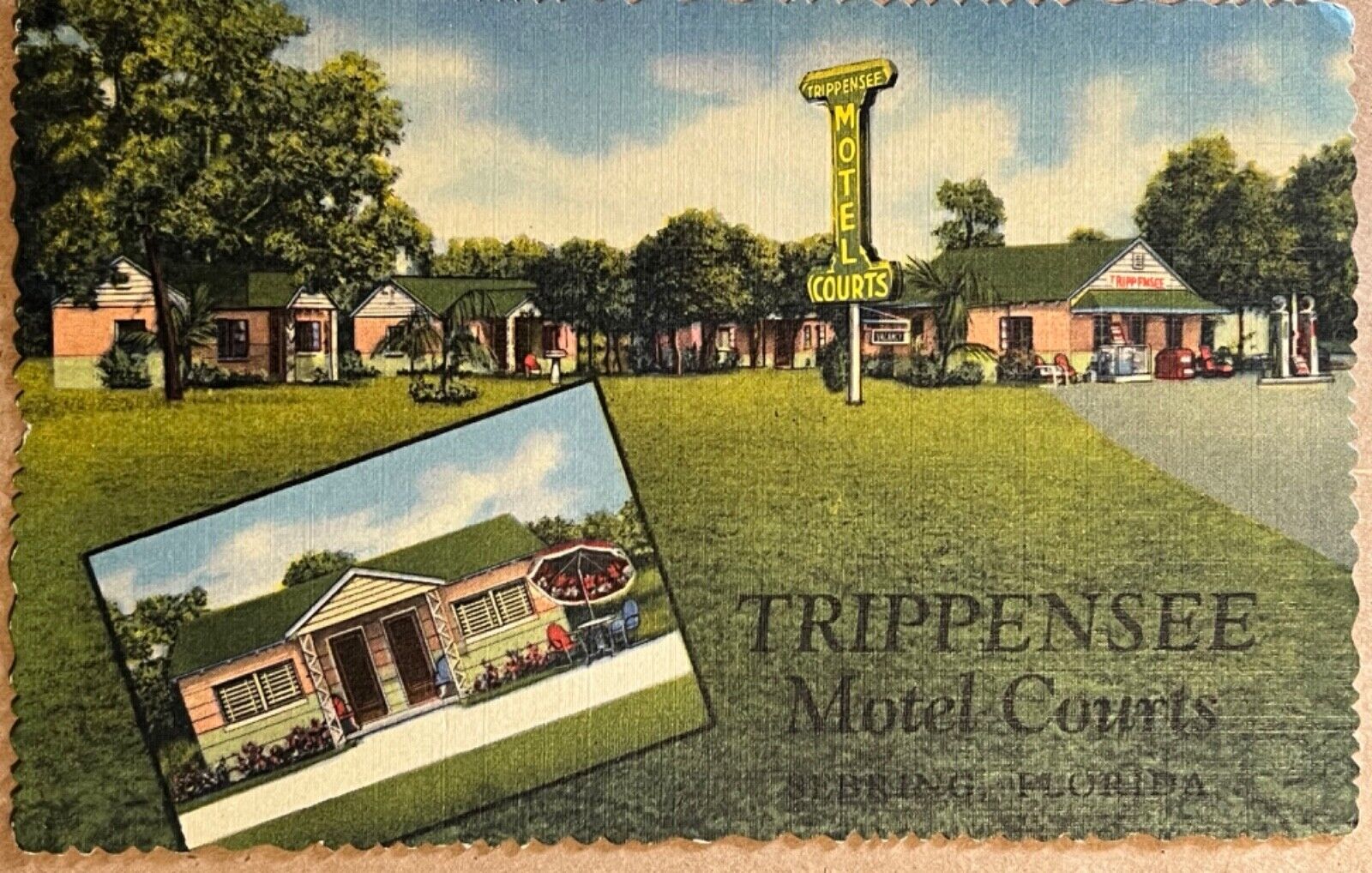 Sebring Florida Trippensee Motel Courts Gas Station Vintage Postcard 1952