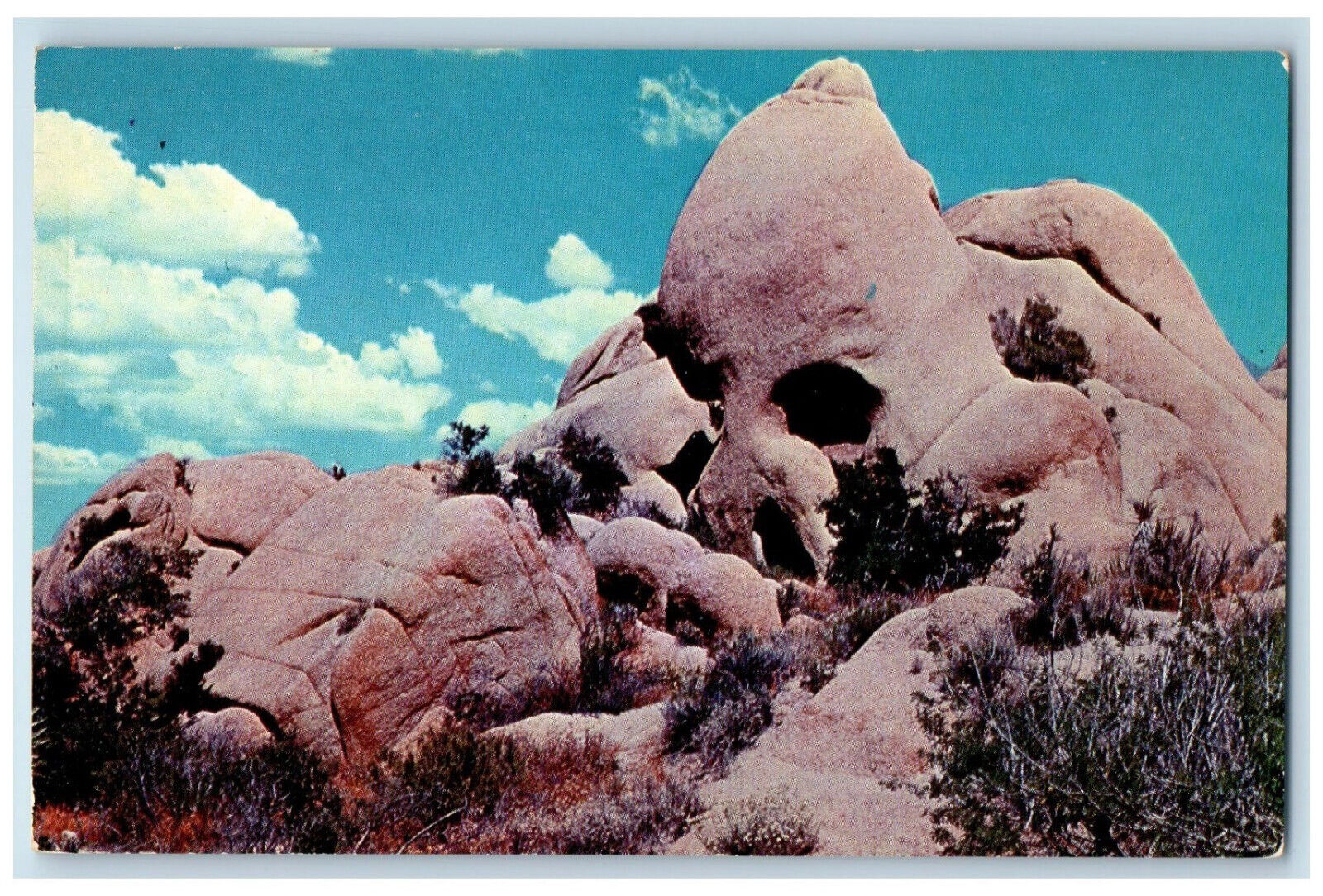 c1960's The Skull Joshua Tree National Monument, Twentynine Palms CA Postcard