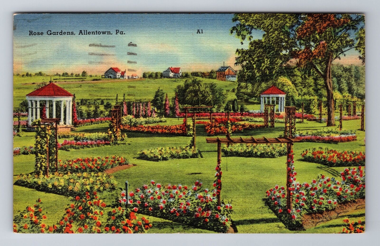 Allentown PA- Pennsylvania, Rose Garden, Antique, Vintage c1944 Postcard