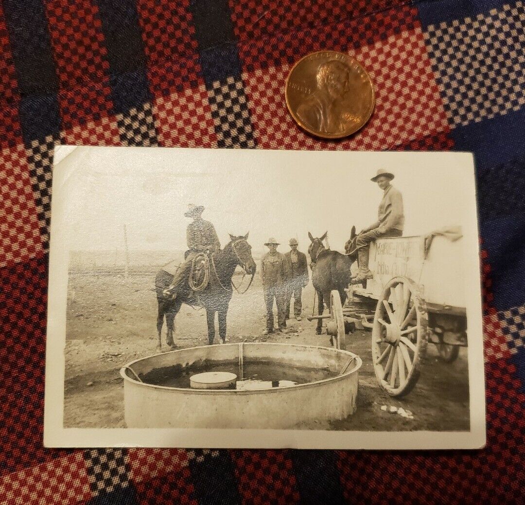 Small Photograph of 1900s Western CowboysRugged. Horses. Wild West.