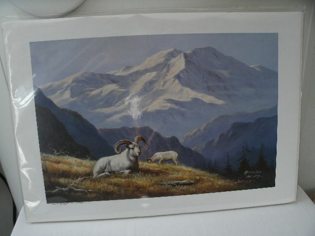 New Tok Huang Print / Dall Sheep in Denali