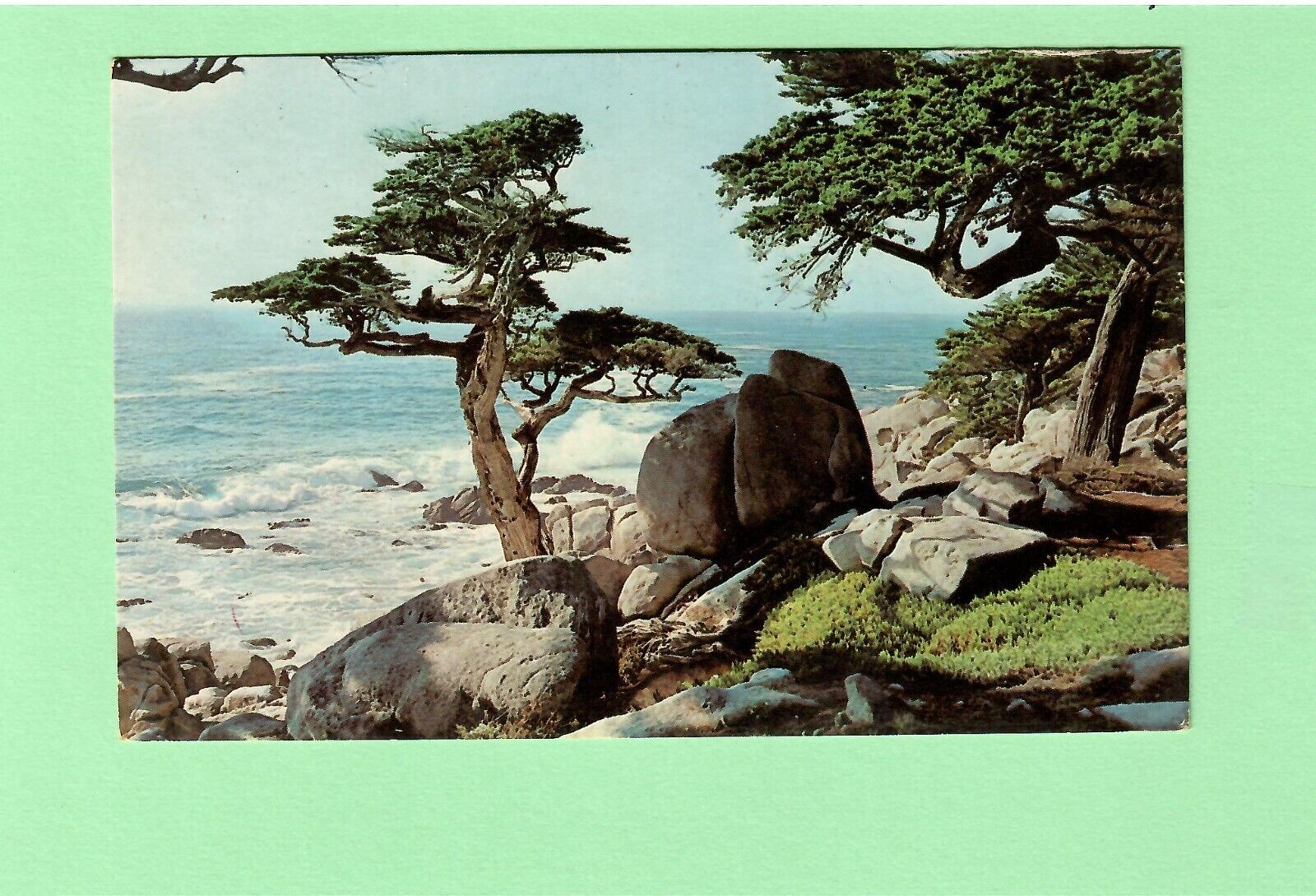 California - Pebble Beach - Pescadero Point Cypress Trees - Unused PC