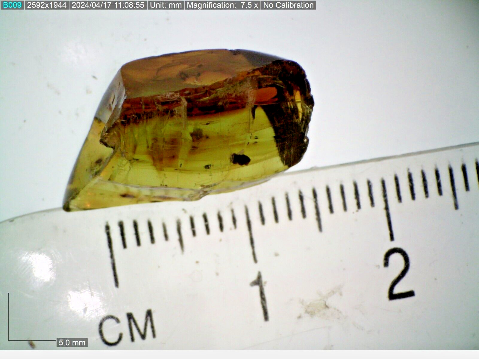 VERY RARE Ethiopian Amber Fossil Nugget EA1 0.91g