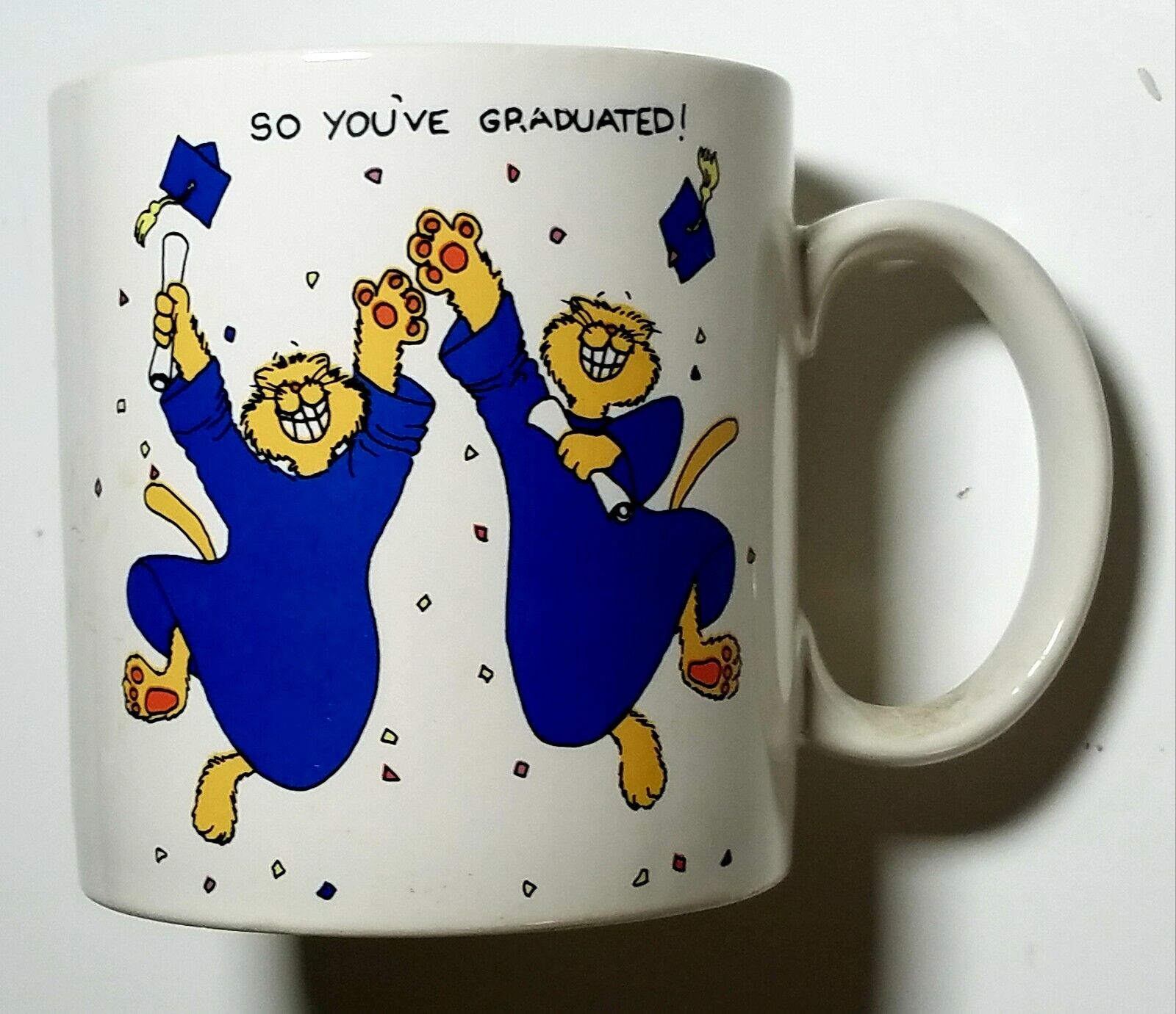 So You\'ve Graduated The Party\'s Over  Coffee Mug  