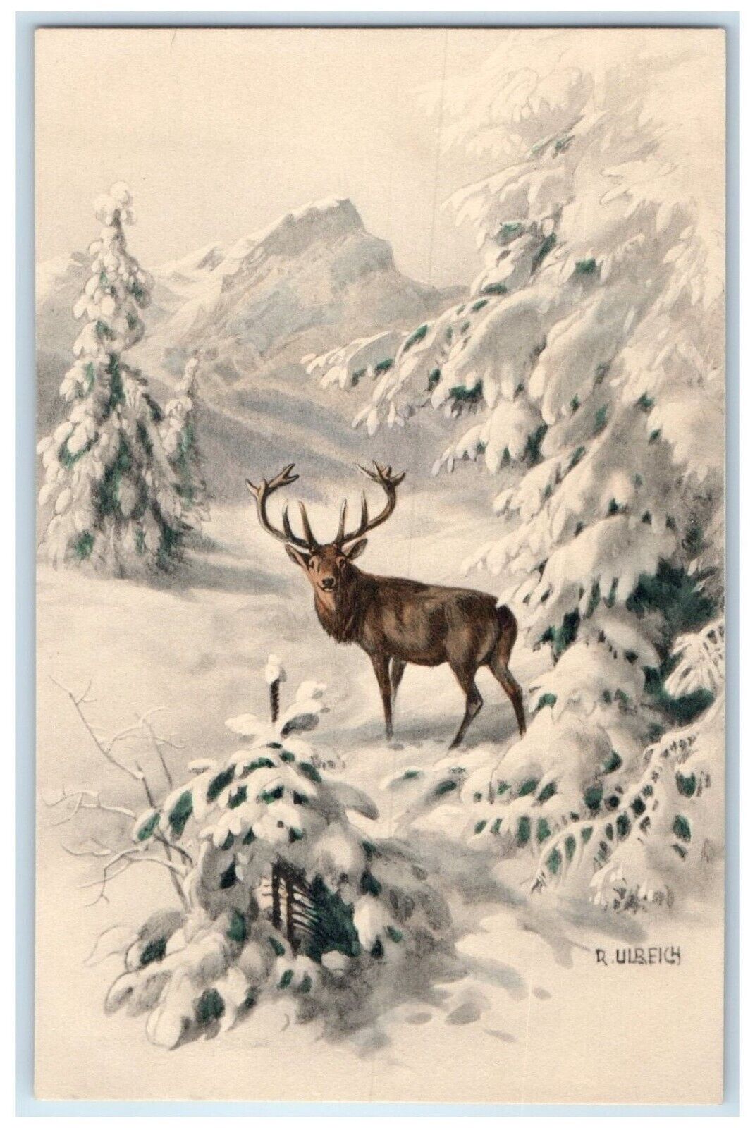 c1910's Ulreich Art Munk Elk Winter Snow Scene Pine Trees Antique Postcard