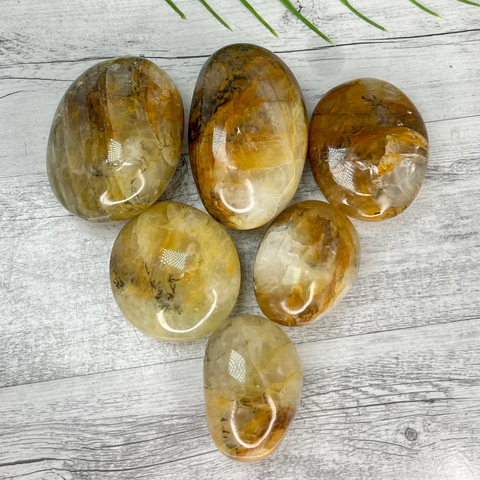 Dendritic Golden Healer Quartz Palm Stones Meditation Crystal
