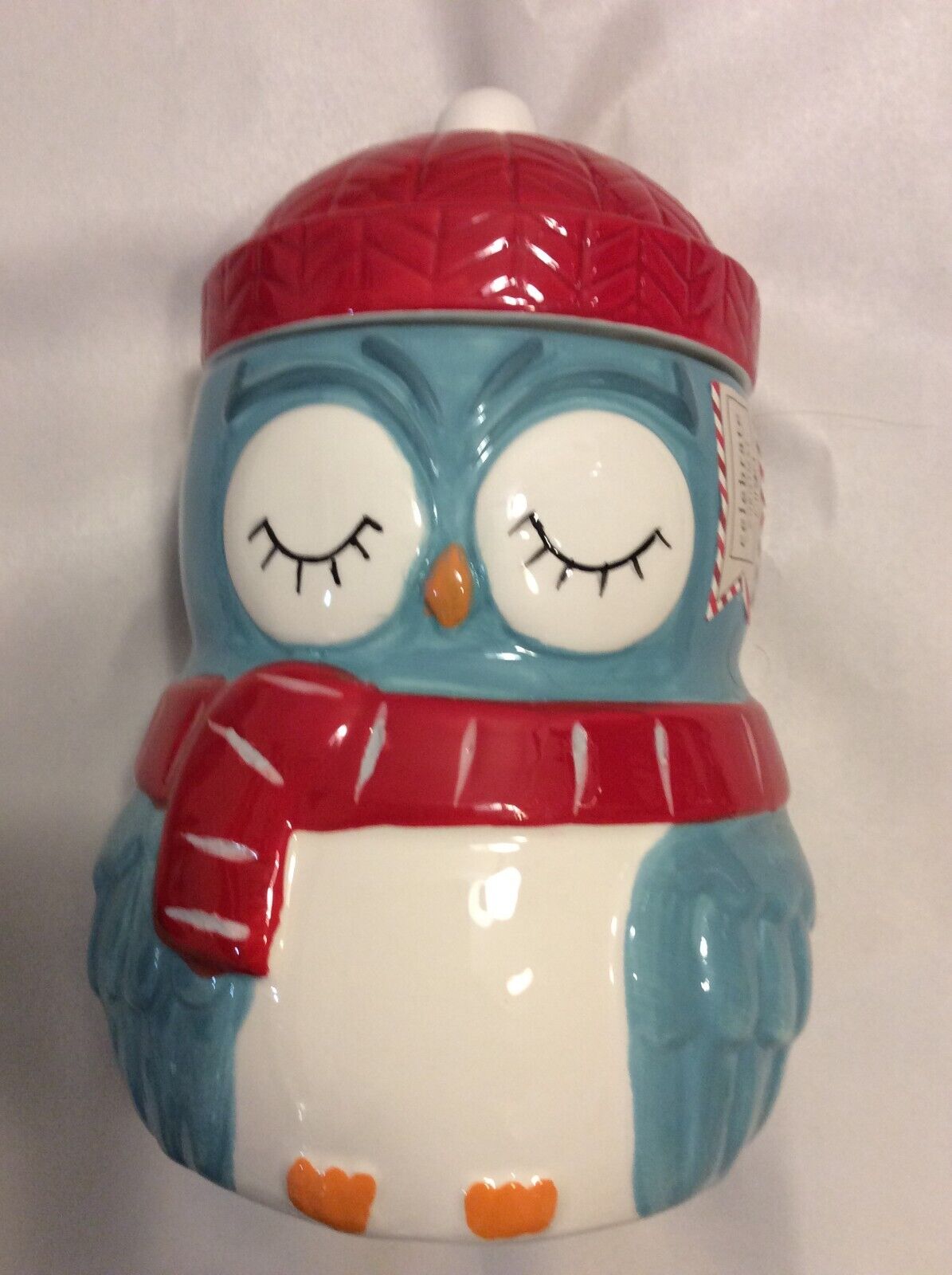Cozy Winter Owl with Scarf & Hat Cookie Jar Aqua Red Winter Holiday Ceramic 9