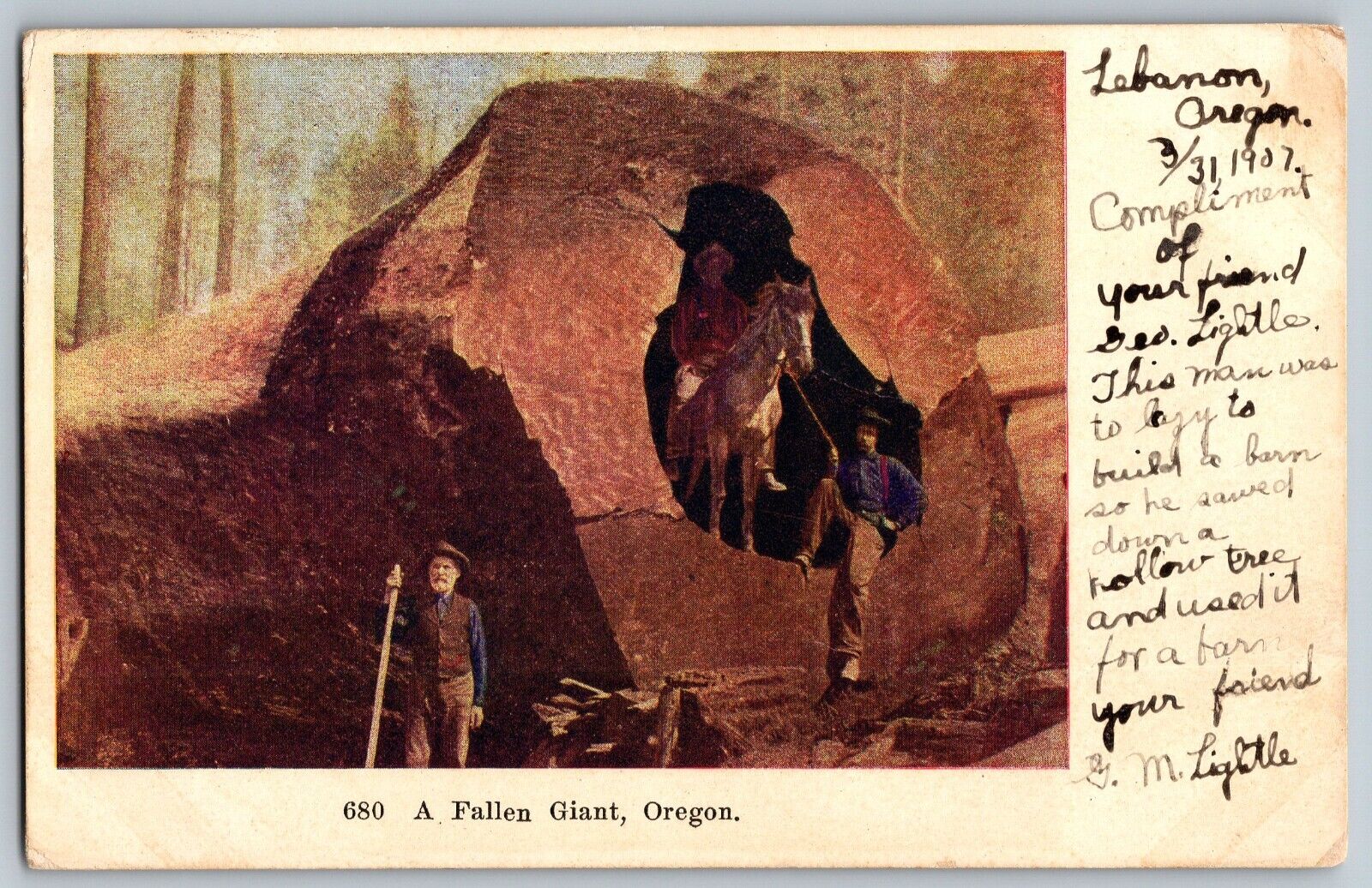 Oregon OR - A Fallen Giant Log - Giant Wood - Vintage Postcard - Posted 1907
