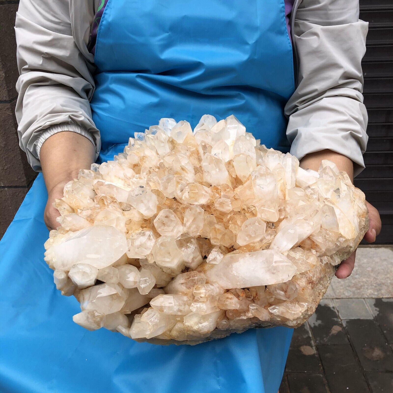 24.64LB Natural White Clear Quartz Crystal Cluster Rough Specimen Healing