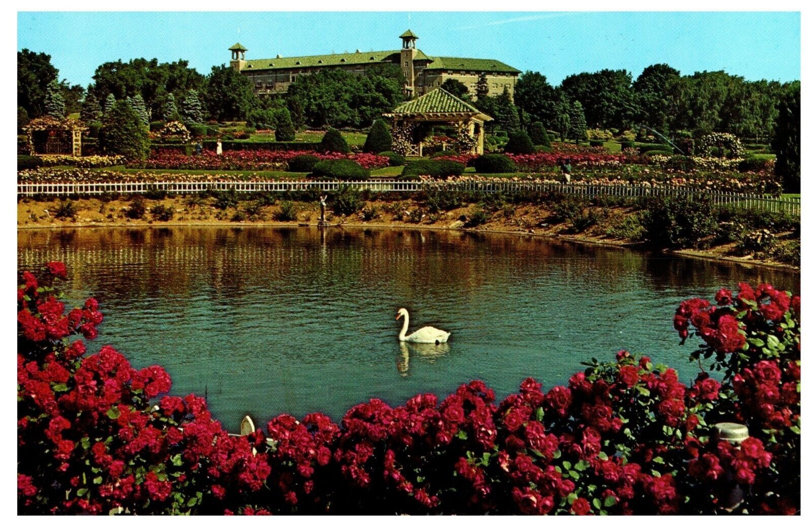 Hershey, Pennsylvania PA - Hershey Rose Gardens & Arboretum - Swan - Chrome PC