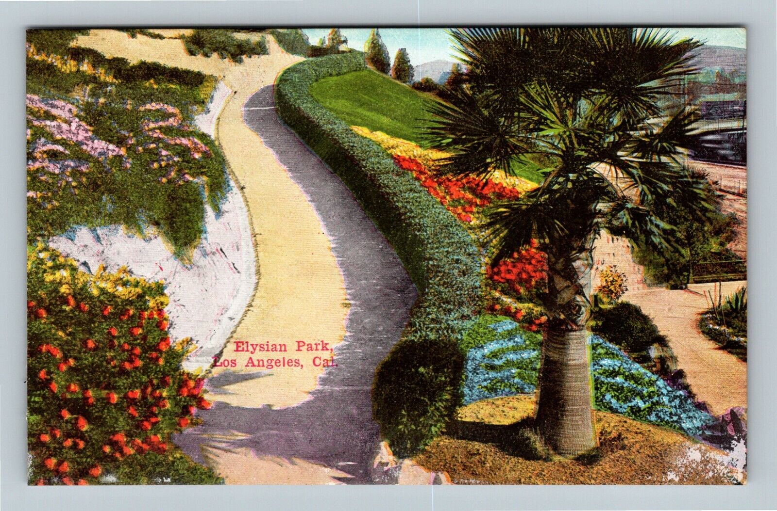 Los Angeles CA, Elysian Park, Pathway California c1910 Vintage Postcard
