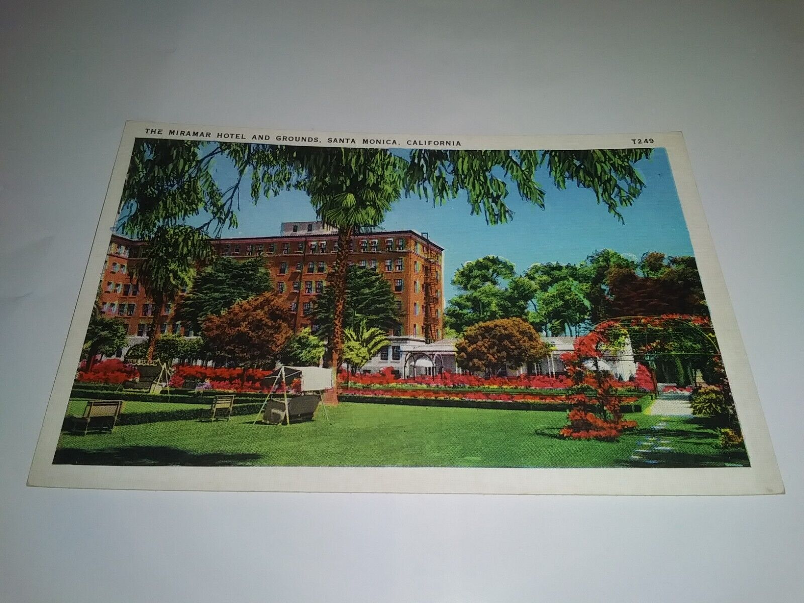 Vintage The Miramar Hotel And Grounds Santa Monica California Postcard
