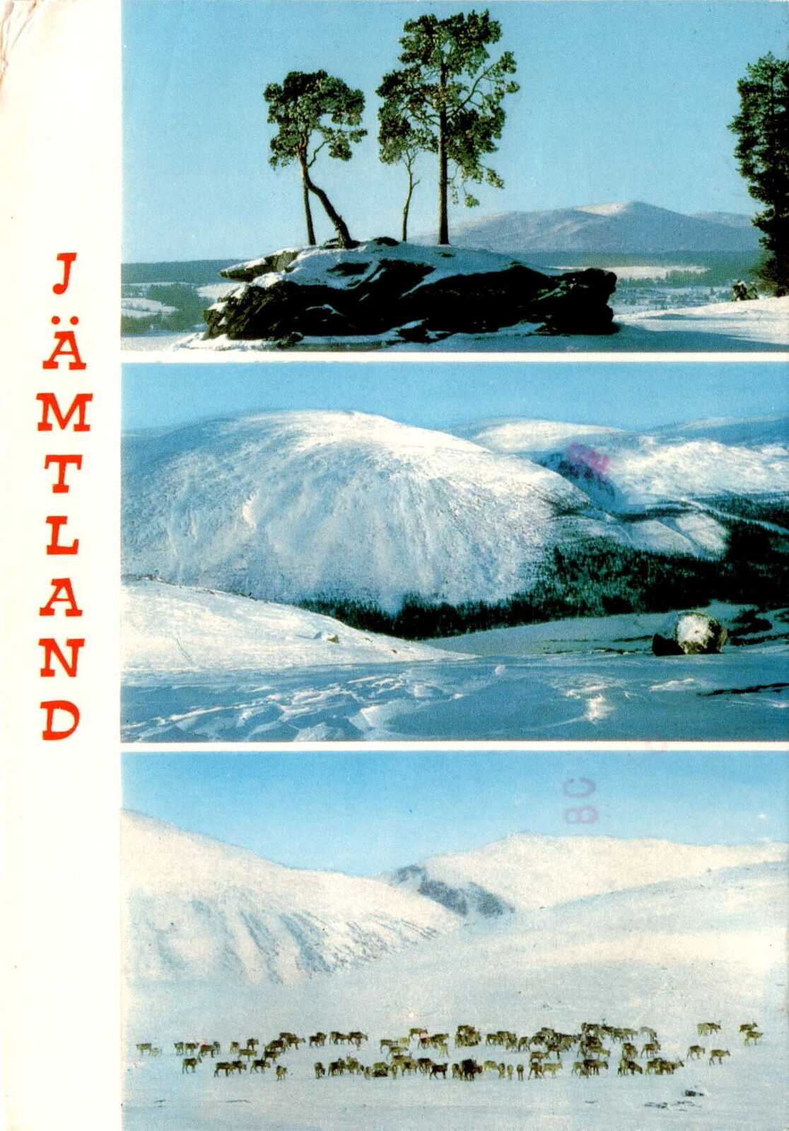 Jämtland, Norrland, Sweden, family, grandpa, cold weather, sunshine Postcard