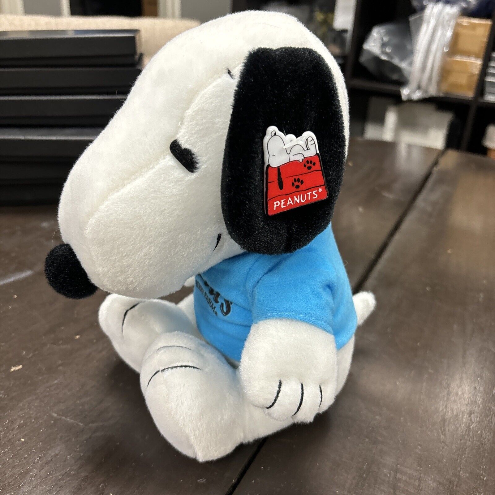 Peanuts Snoopy Stuffed Animal Dog Plush Knott’s Berry Farm Park Souvenir 10” EX