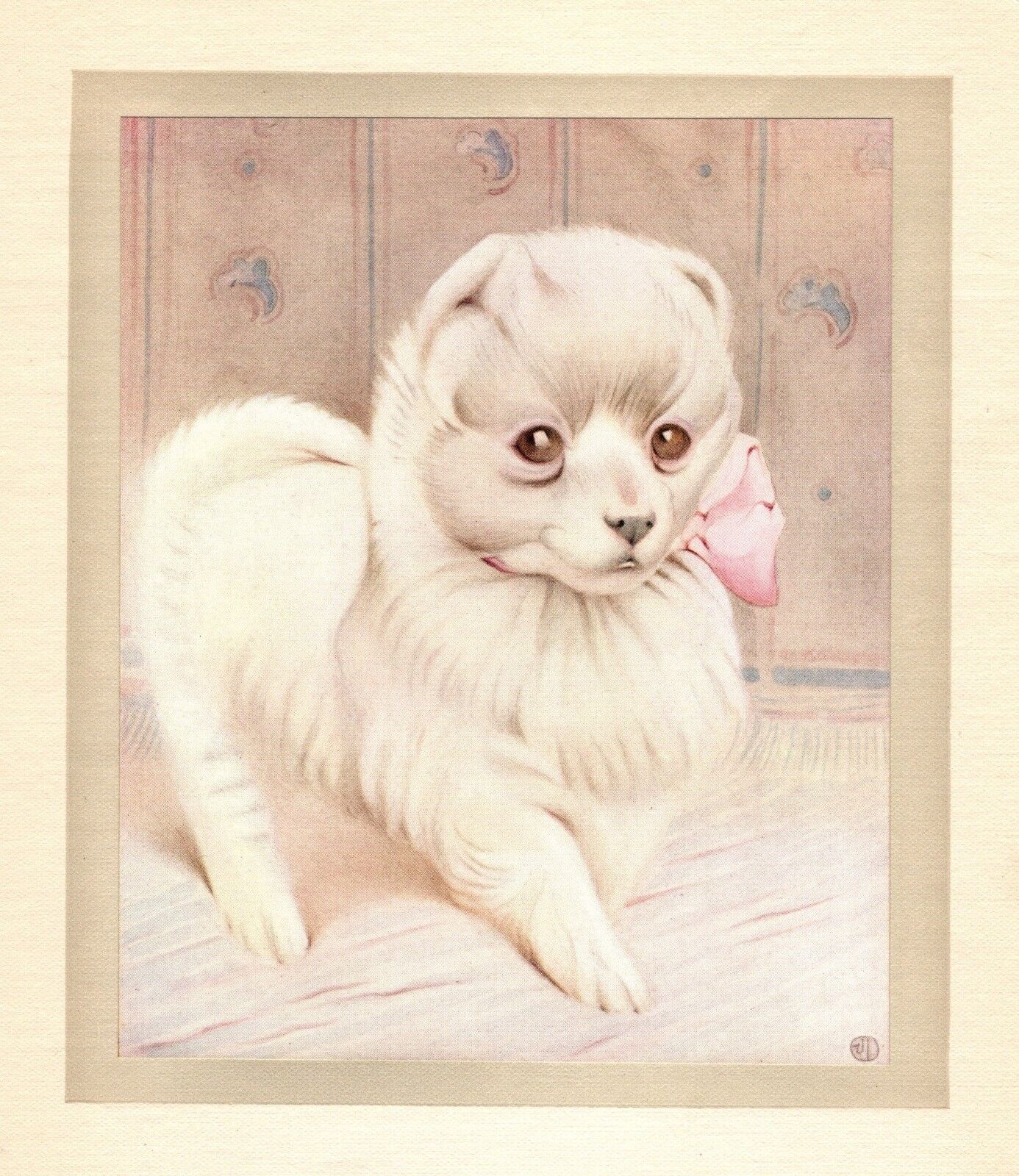 Antique Pomeranian Print c1915 E J Detmold Pomeranian Dog Art Illustration 5155m