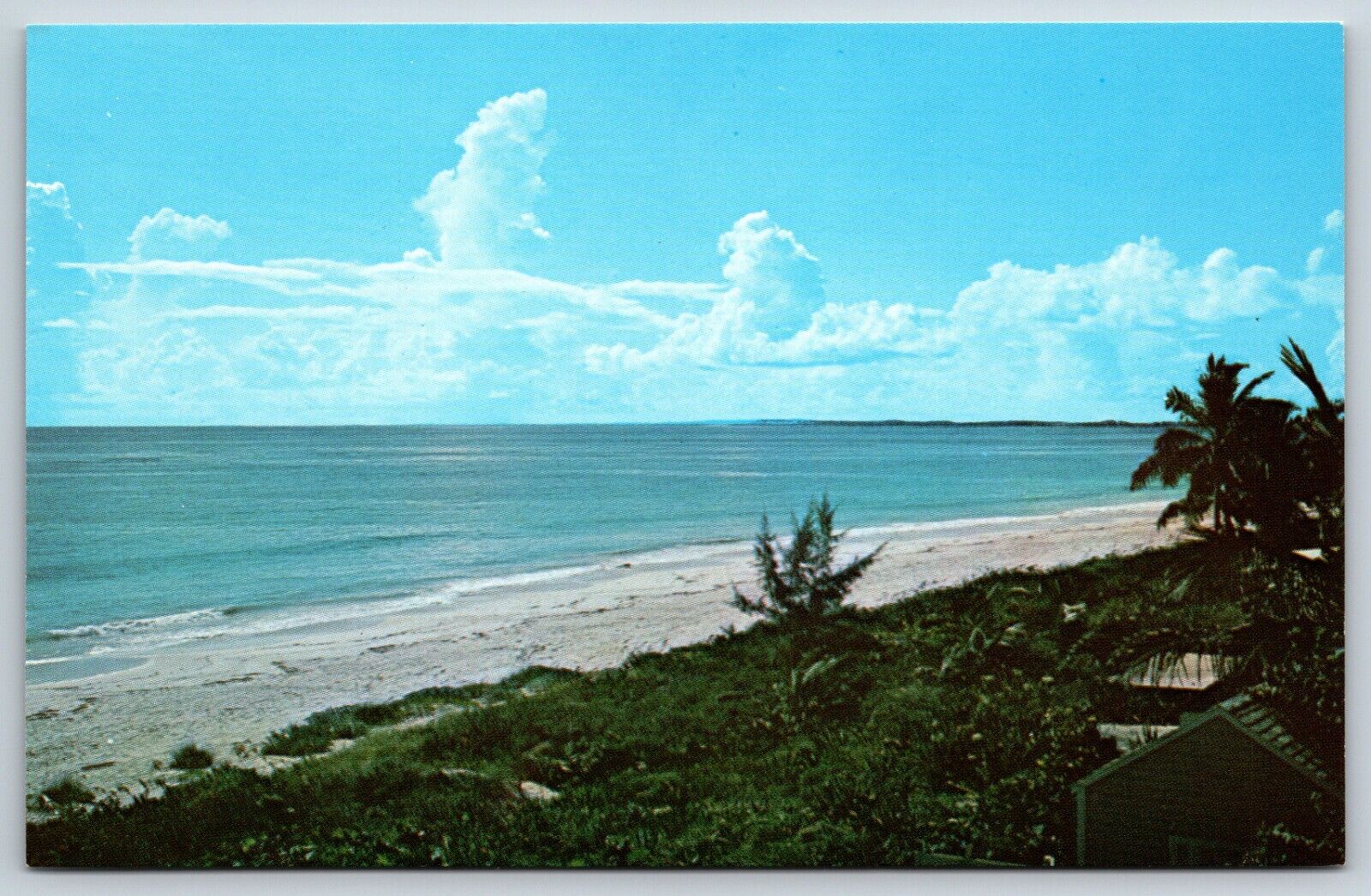 Postcard Beautiful Pink Beach Harbour Island Bahamas Unposted