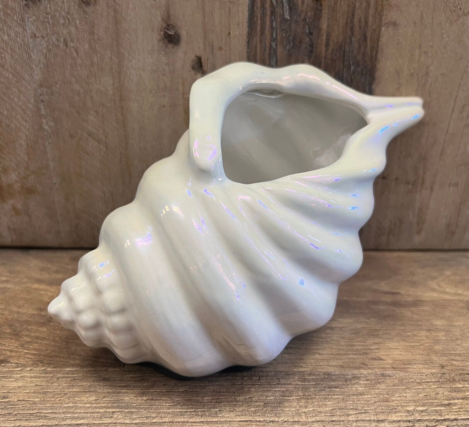 Shell Ceramic Planter 7\