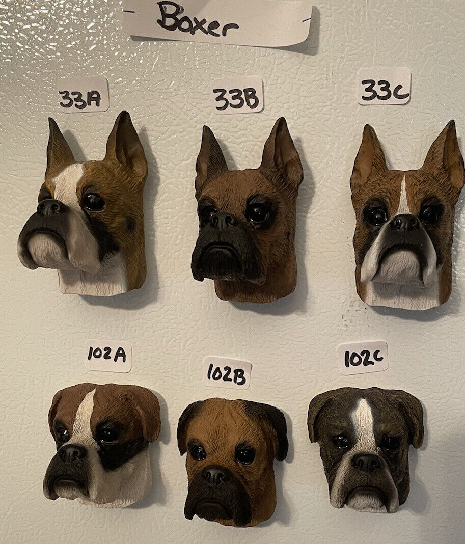 Cropped Uncropped Boxer Dog Resin Magnet, Conversation Concepts DM33 102