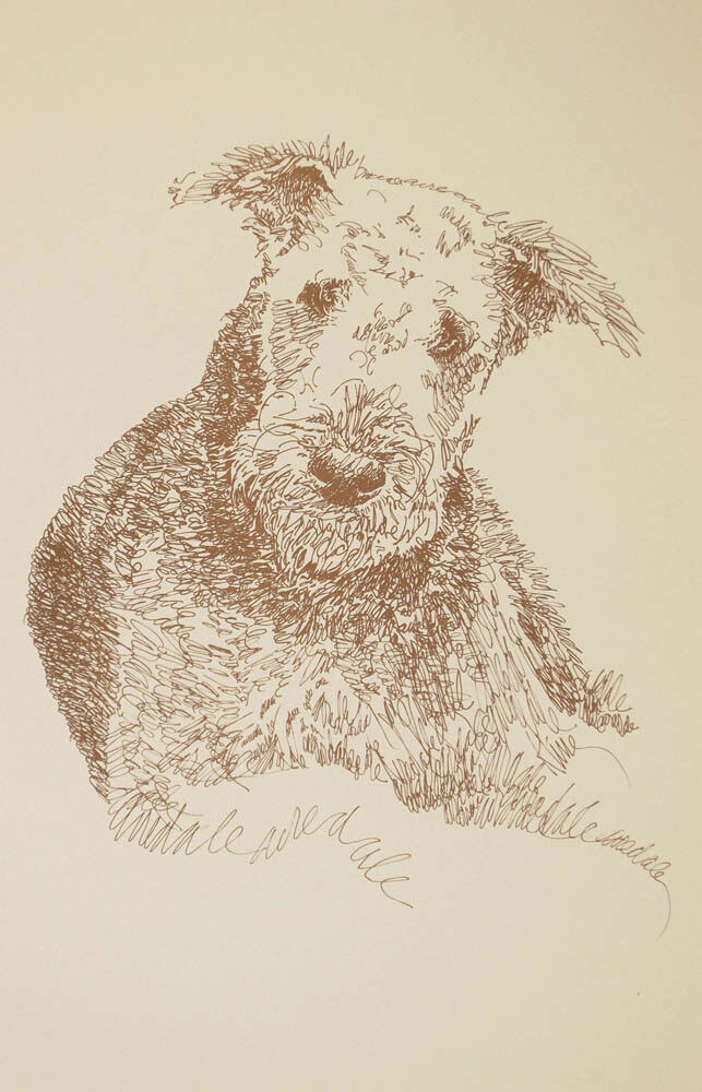 Airedale Terrier dog art portrait drawing PRINT 78 Kline adds dog\'s name free.