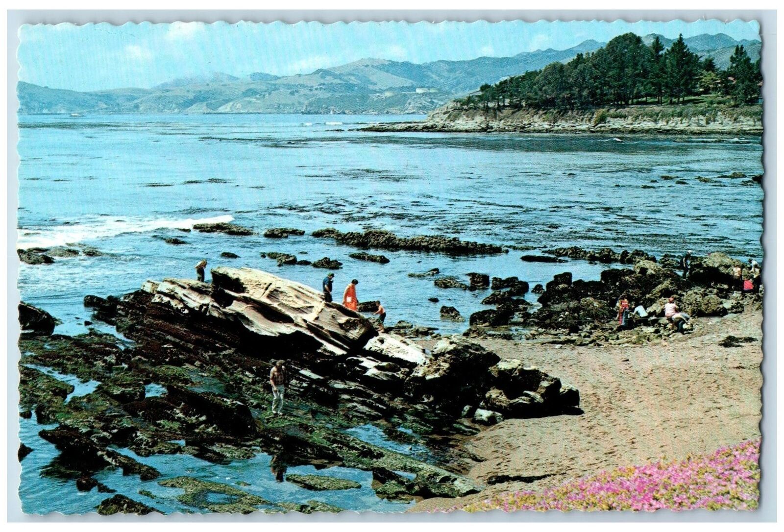 c1950's Shell Beach Section Seaside Pismo Beach California CA Vintage Postcard