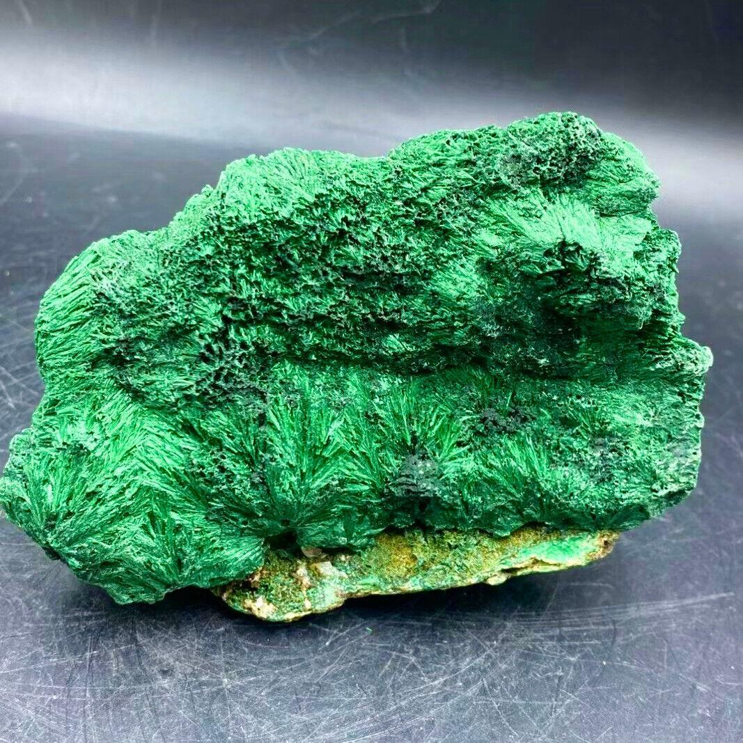 1.64LB Natural glossy Malachite transparent cluster rough mineral sample