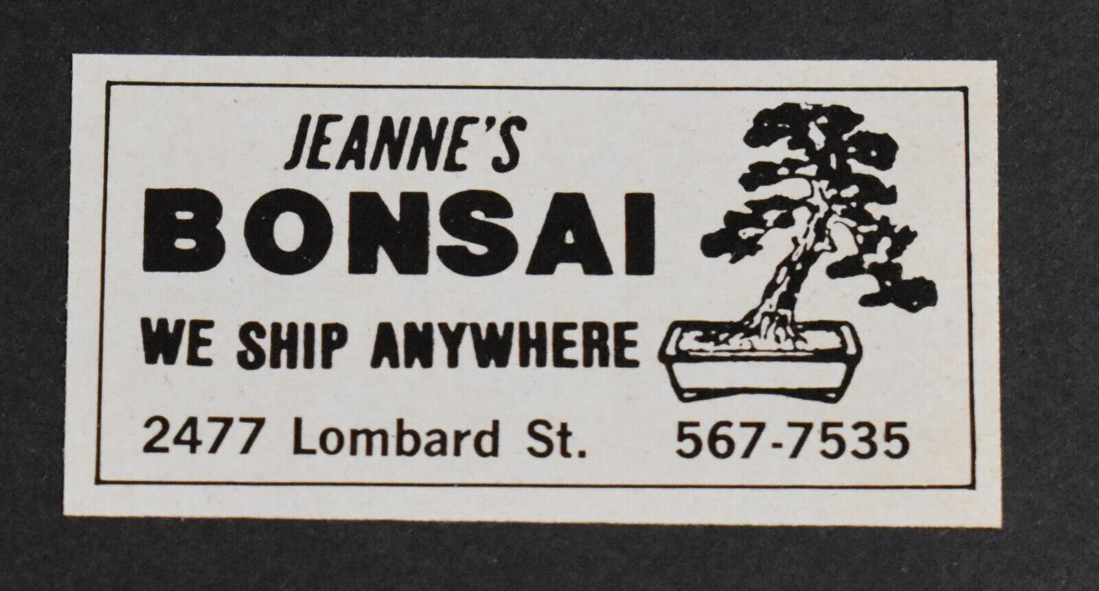 1979 Print Ad San Francisco Jeanne's Bonsai 2477 Lombard St We Ship Anywhere art