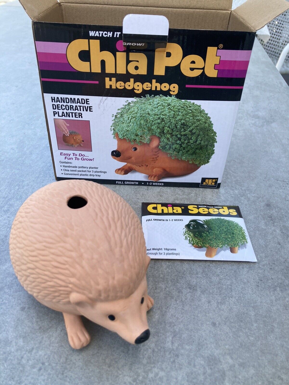 New Chia Pet Hedgehog - Handmade Decorative Planter - Fun to Grow