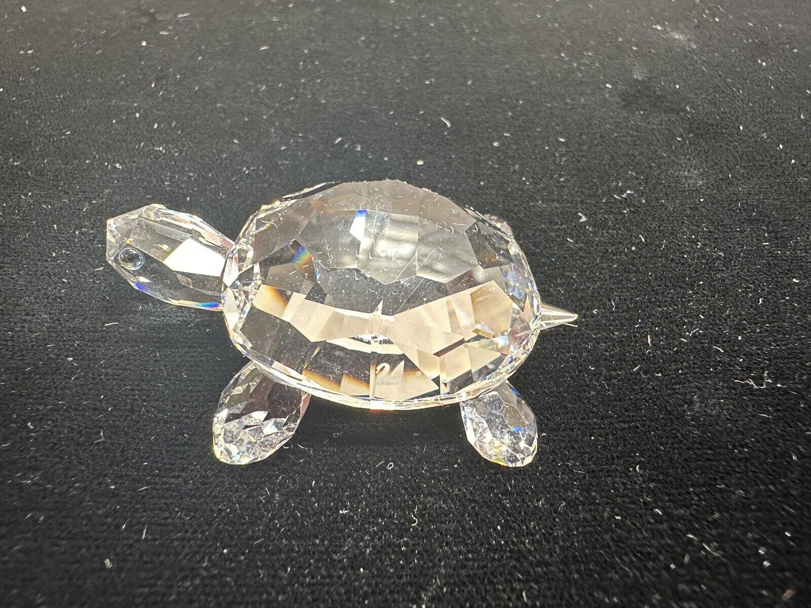 Swarovski Crystal Figurine Endangered Tortoise Turtle 7632 000 001 w/COA