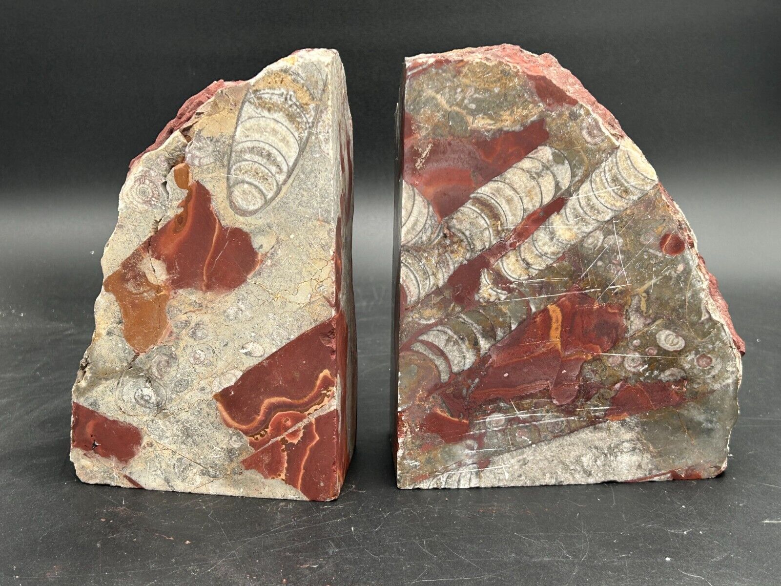 Large Orthoceras Fossil Bookends 13+lbs  *Not Polished*
