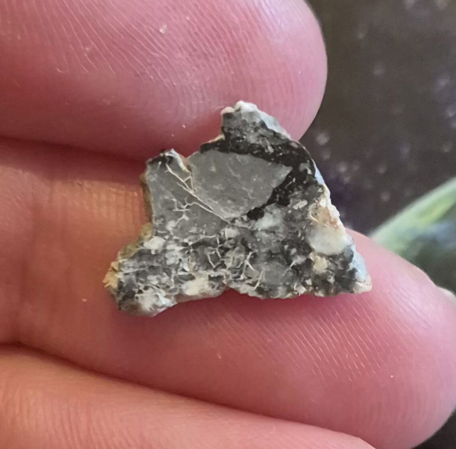NWA 15583 Lunar Feldspathic Breccia Meteorite 0.45g Polished Slice