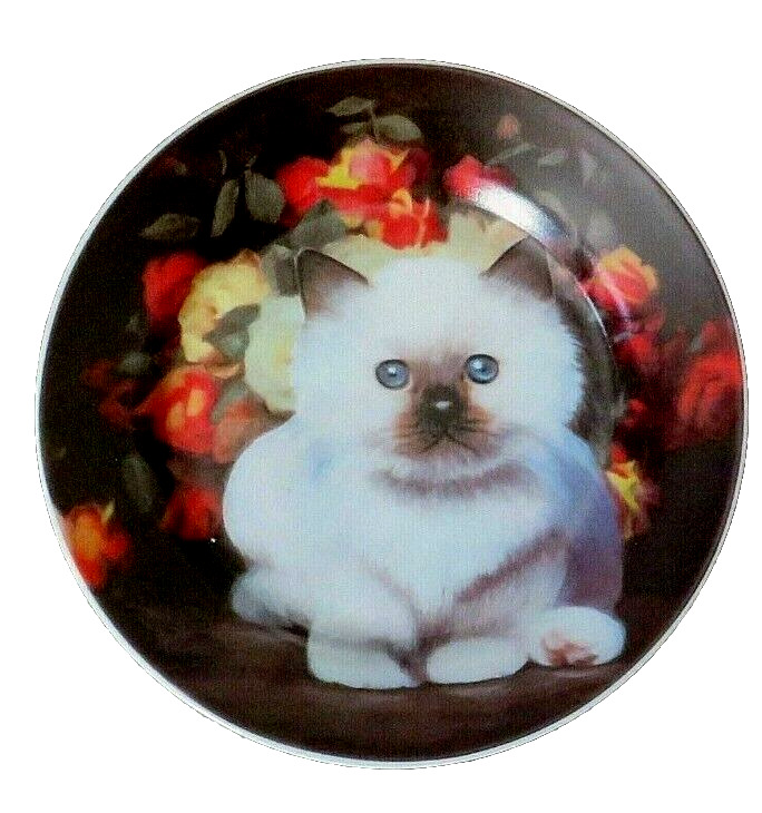 White Fluffy Kitten Brown Accented Nose & Ears Cute Decorative Plate 7\