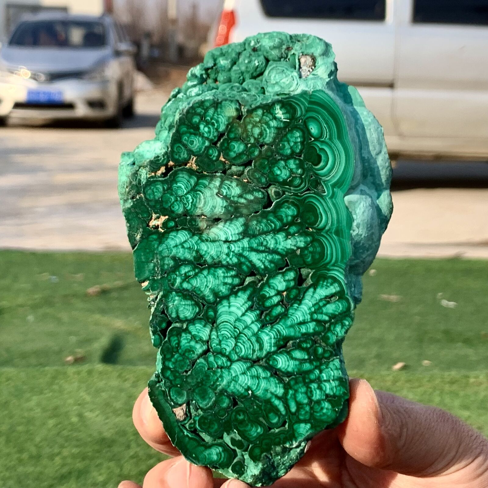 370G Natural Malachite transparent cluster coarse  mineral flaky sample