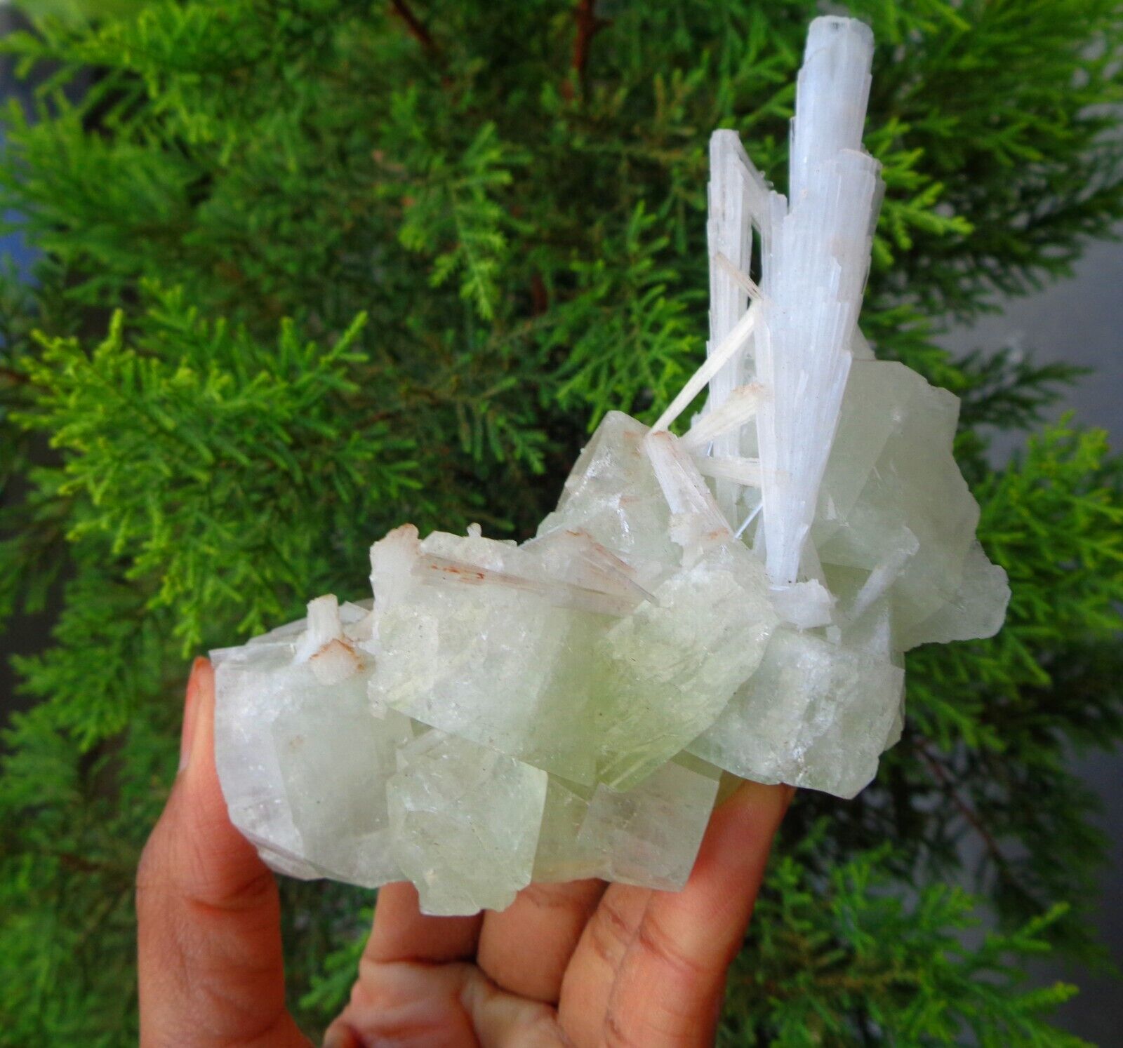 Scolecite On Green Apophyllite Crystals Minerals Specimen #H18