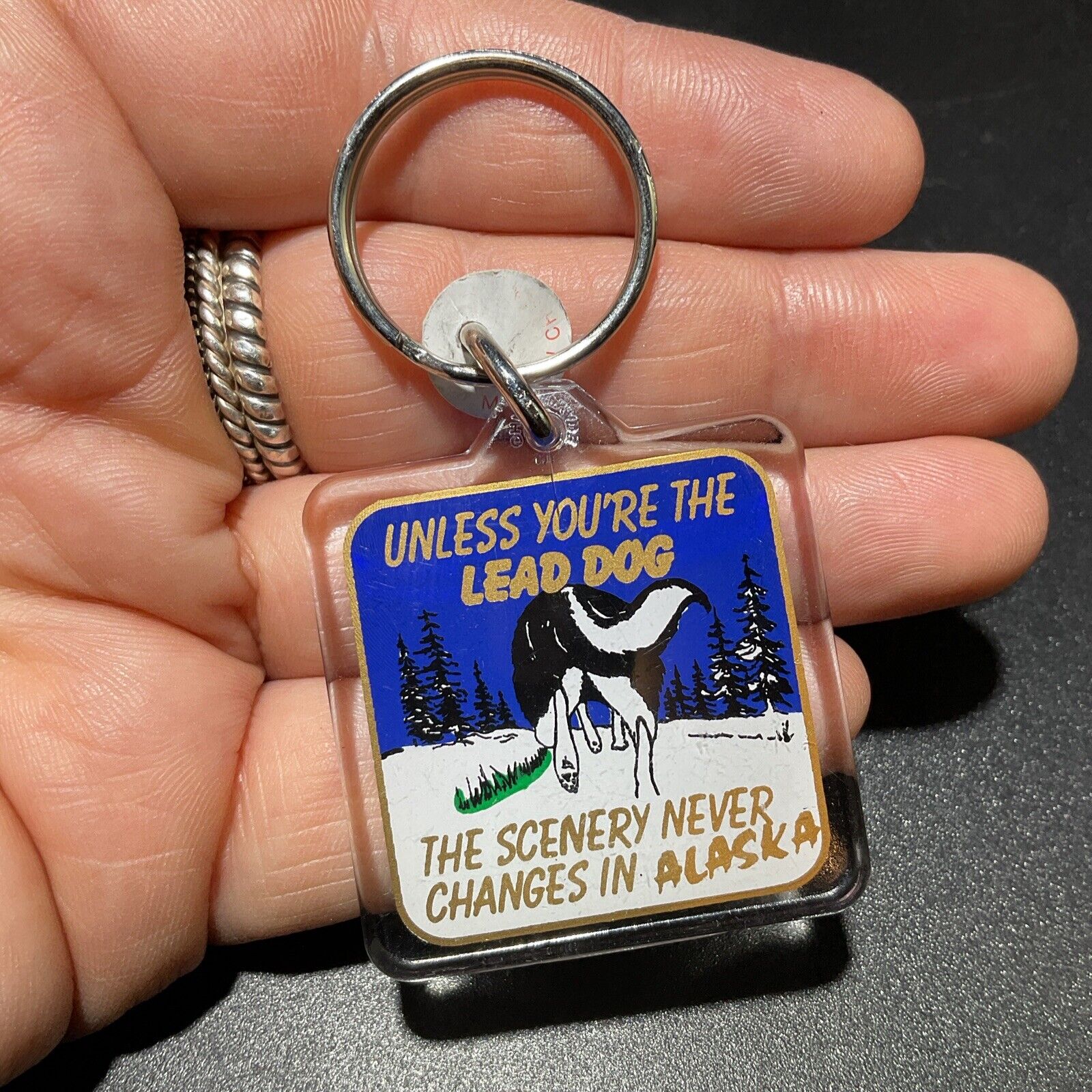 Alaska Acrylic Keychain If Your Not The Lead Dog The Scenery Never Changes