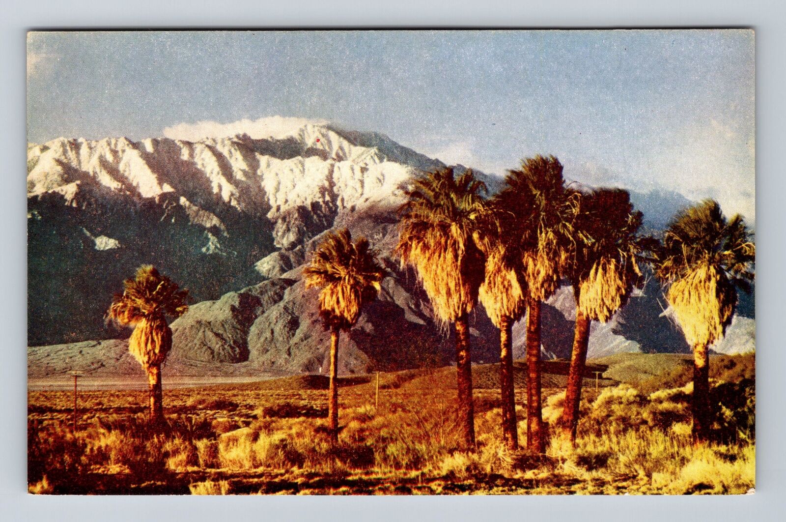 CA-California, Mount San Jacinto, Antique, Vintage Postcard
