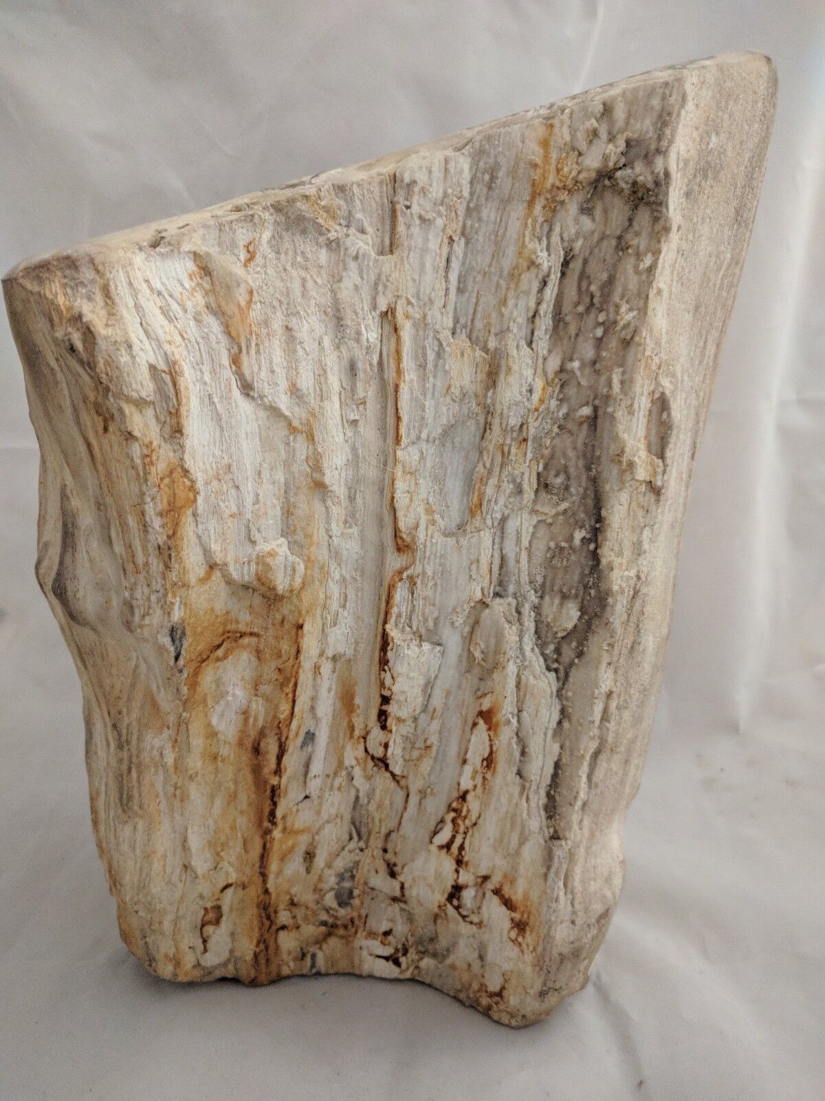 Large Petrified Wood Log Self standing Fossilized Trunk Fossil w/ Druzy Crystals