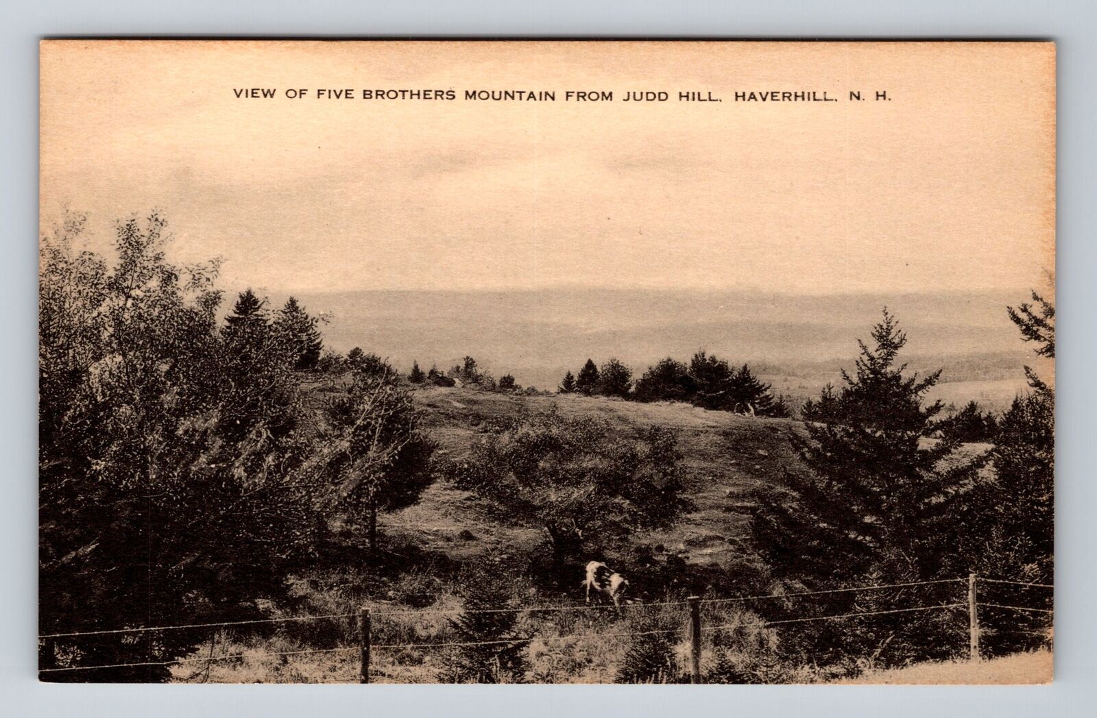 Haverhill NH-New Hampshire, Fiver Brothers Mountain, Judo Hill Vintage Postcard