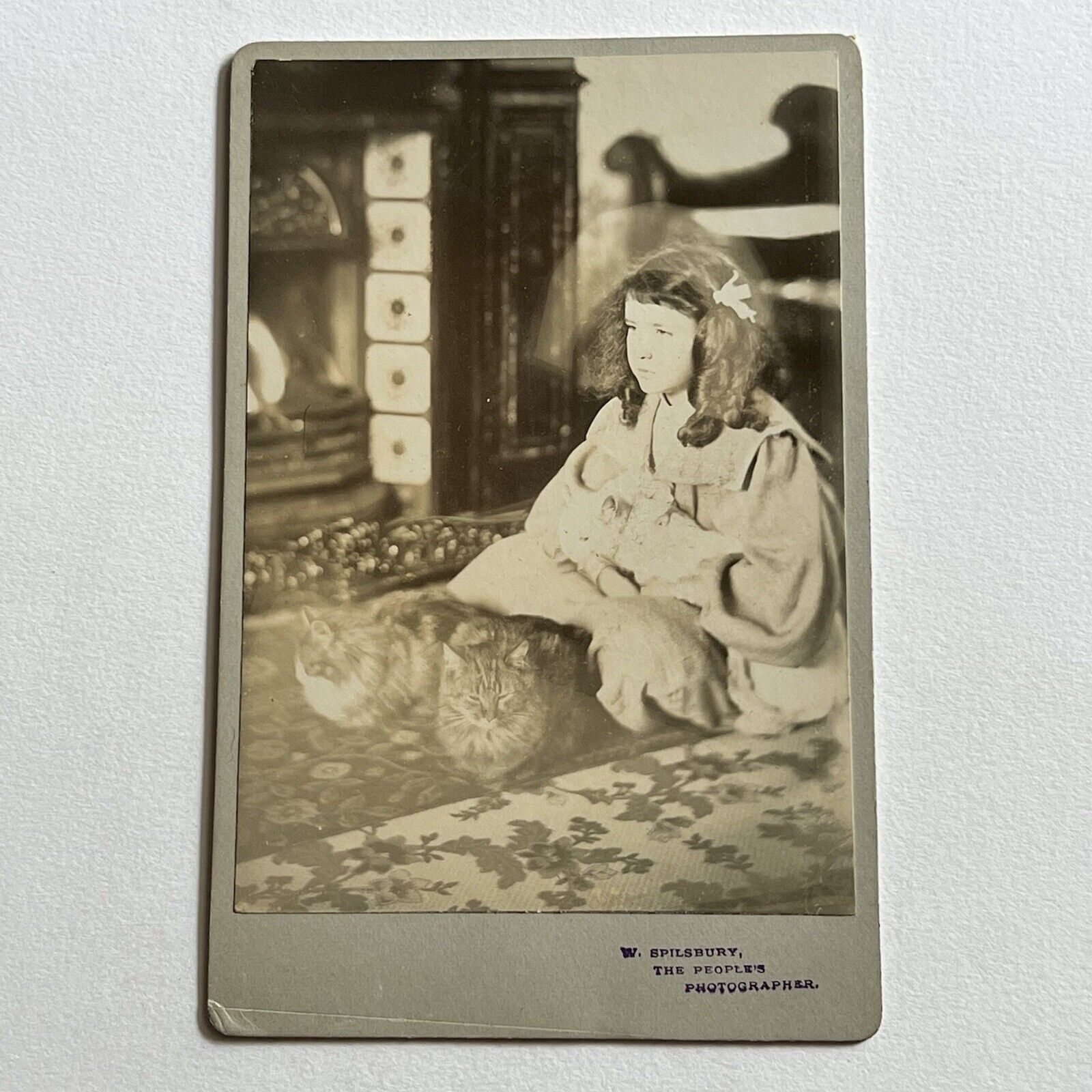 Antique Cabinet Card Photograph Little Girl Three Cats Spooky Odd Ghostly Aura