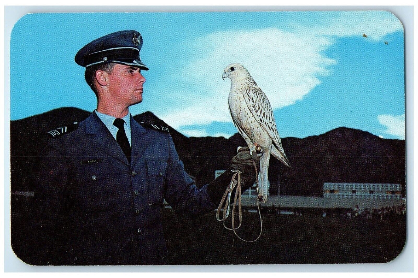 c1960's Cadet And Falcon US Air Force Academy Pike Peaks Colorado CO Postcard