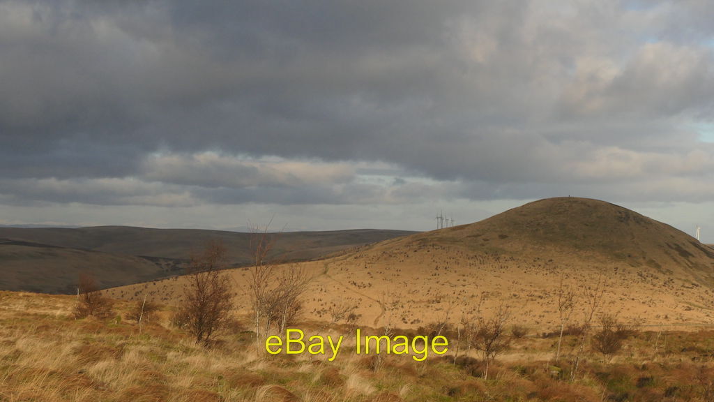 Photo 6x4 Ben Shee and woodland Mailer's Knowe The Ben Shee woodlands wer c2022
