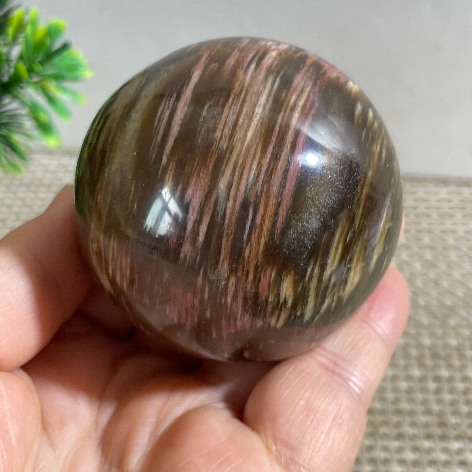 55mm Natural Wood Fossil Crystal Ball Polishing Madagascar 238g h75
